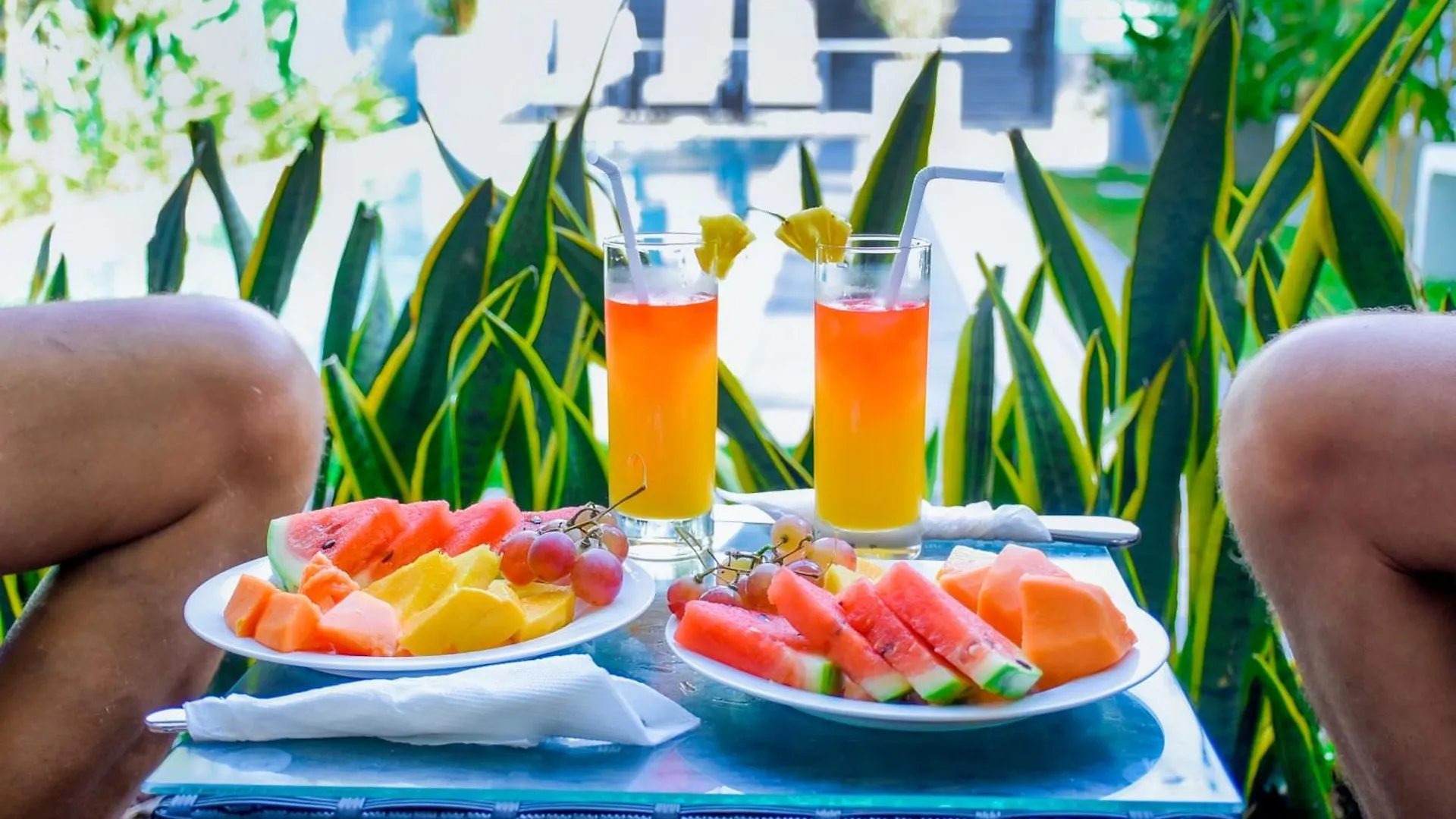 Lourdes Inn Negombo 0*,